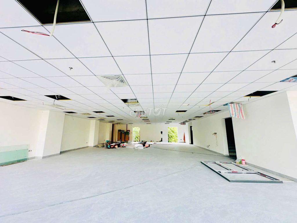 DT 15 x 15M 1 Trệt 4Lầu  Sân Thượng Thang Máy ( Sàn Trống Suốt )