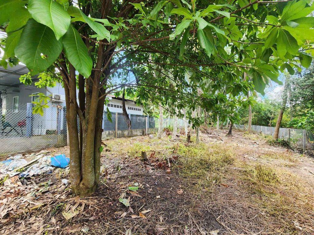 609m² gần Co.opmart Mỹ Tho chỉ 3,3 tỷ – có 80m² thổ cư – chính chủ