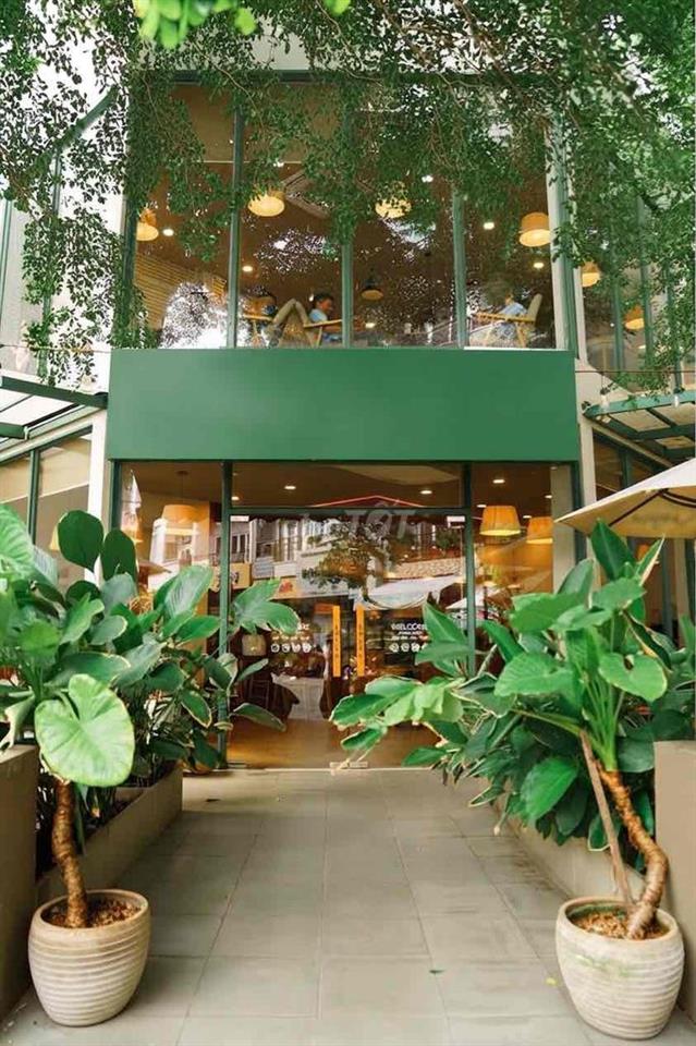 🔥 PHAN XÍCH LONG - 𝐏𝐇𝐔́ 𝐍𝐇𝐔̣𝐀𝐍 (𝟐 𝐌𝐀̣̆𝐓 𝐓𝐈𝐄̂̀𝐍 - 𝟏𝟎𝐌 ) 🌸🍃🌕 t