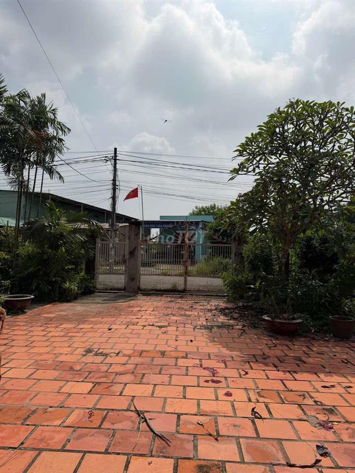 Cho thuê biệt thự