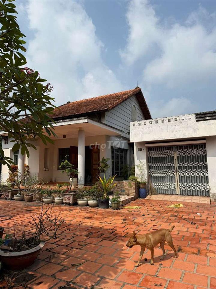 Cho thuê biệt thự