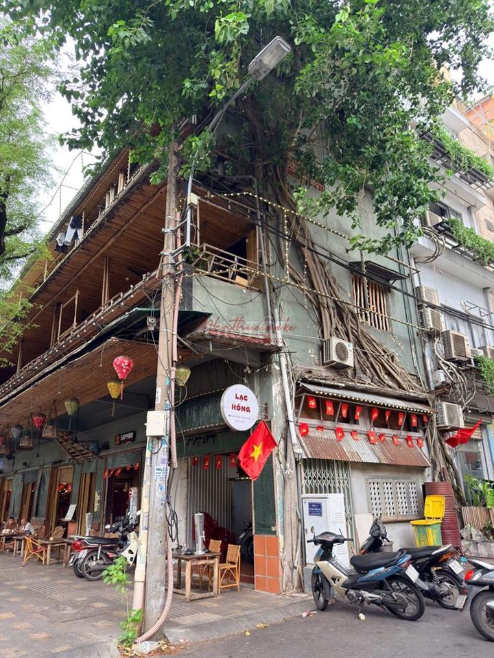 Góc 2MT Quận 1, 400m², 4 tầng, giá 10.000 USD! Hàng đẹp cực hiếm !!!