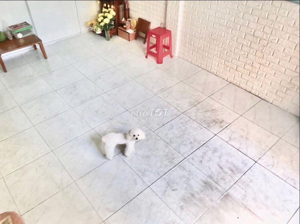 📍 [CHO THUÊ] MẶT BẰNG KINH DOANH, VĂN PHÒNG MINI 📍