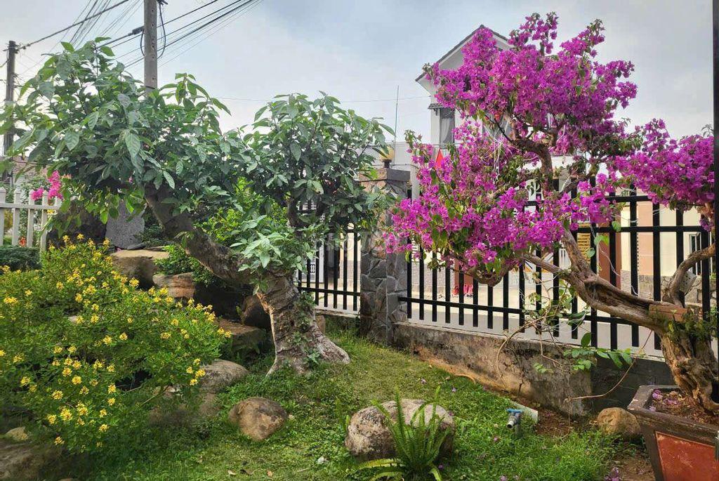 Bán Đất + Nhà biệt thự mini Trung Tâm Tp. Bảo Lộc cũ, Lâm Đồng