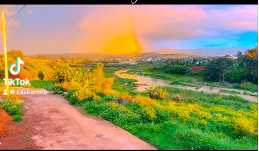 Chính chủ bán homestay gần Đà Lạt, có thể bán 1 nửa