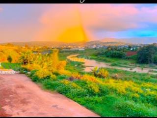 Chính chủ bán homestay gần Đà Lạt, có thể bán 1 nửa
