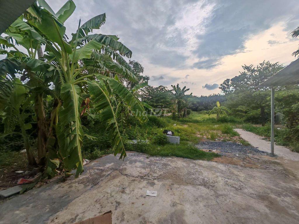 Phòng trọ rất miền tây giữa lòng SG