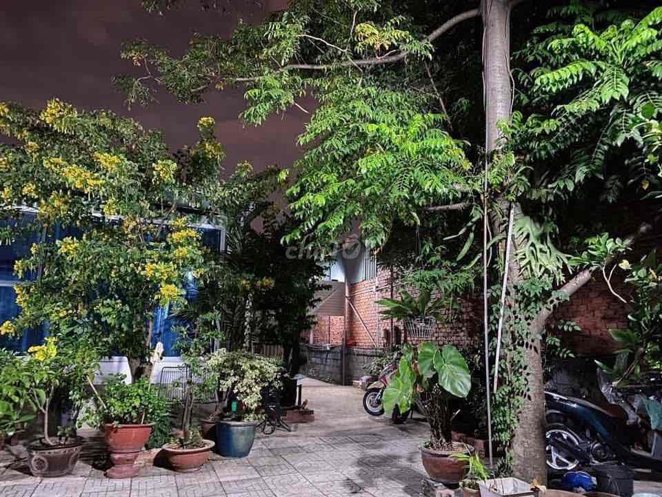 PHÒNG SÂN VƯỜN - 22m2 - VÔ Ở NGAY