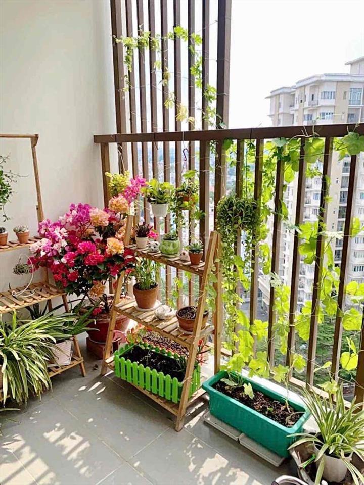 Còn 3 căn 1PN Topaz Twins giá từ 2.55 tỷ full nội thất,hỗ trợ vay bank
