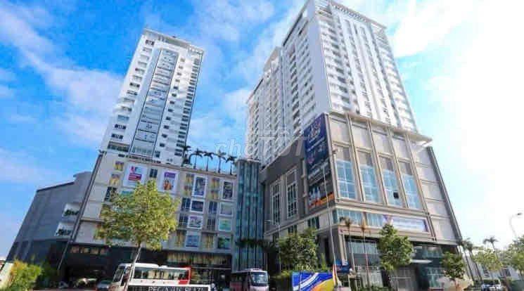 Cho thuê căn hộ full nội thất cao cấp, chung cư Plaza Pegasus, trung t