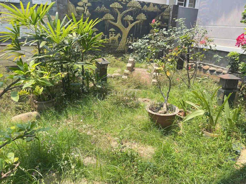 Cho thuê nhà mái thái sân vườn, Tổ 42, Khu Phố 9, Tân Phong, Biên H