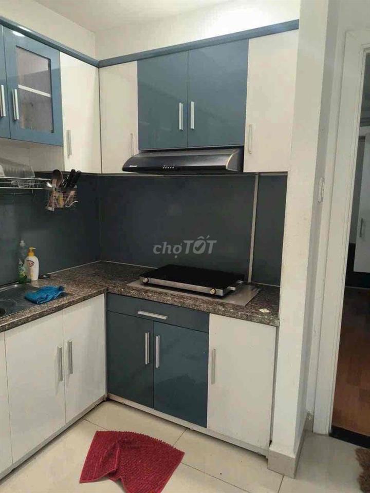 Cho thuê căn hộ full nội thất cao cấp, chung cư Plaza Pegasus, trung t