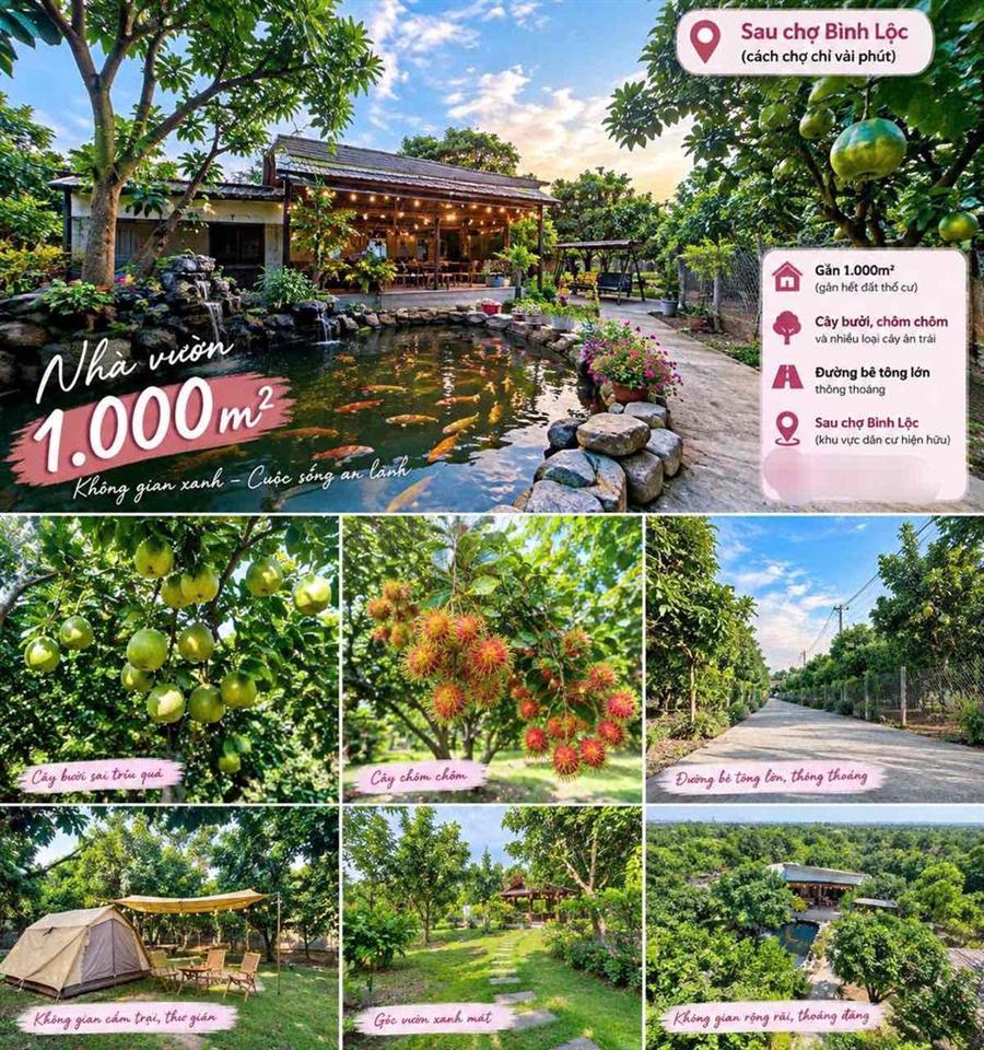 Đất Sào Cây Ăn Trái Ngay Chợ Bình Lộc - Long Khánh, Sổ Riêng, Giá Rẻ