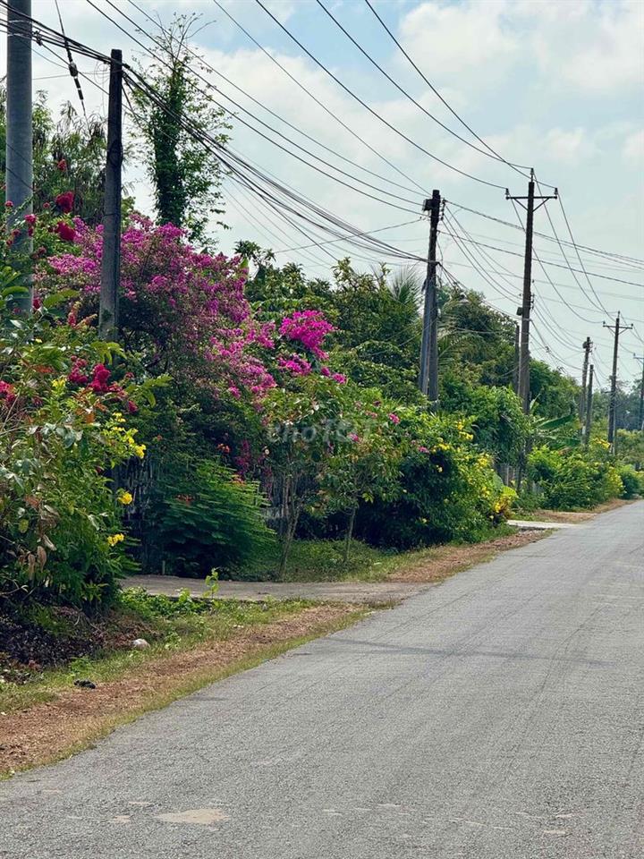 Bán đất thổ cư TP.Long Khánh