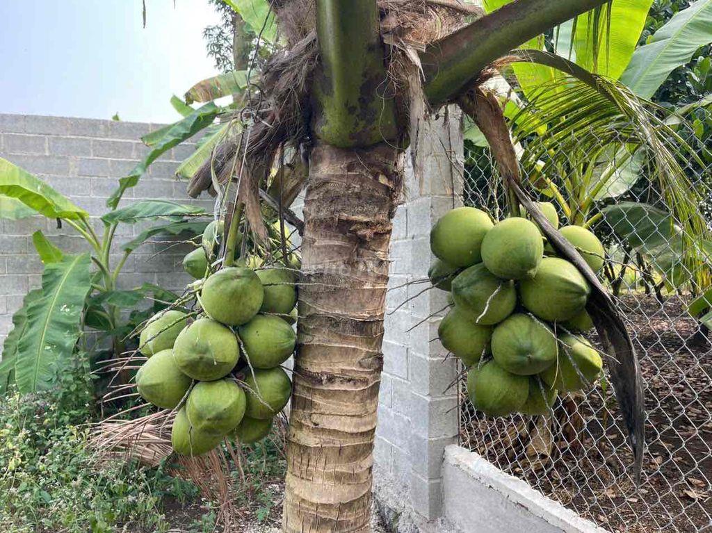 Bán 500m2 có thổ cư giá ngộp Long Khánh