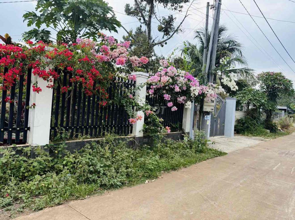 Bán đất Thổ Cư gần Chợ Bình Lộc - Đồng Nai