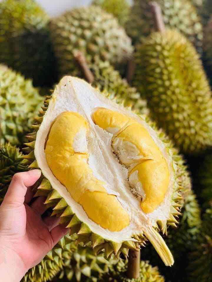 Bán Nhà Vườn Long Khánh - TP.Đồng Nai
