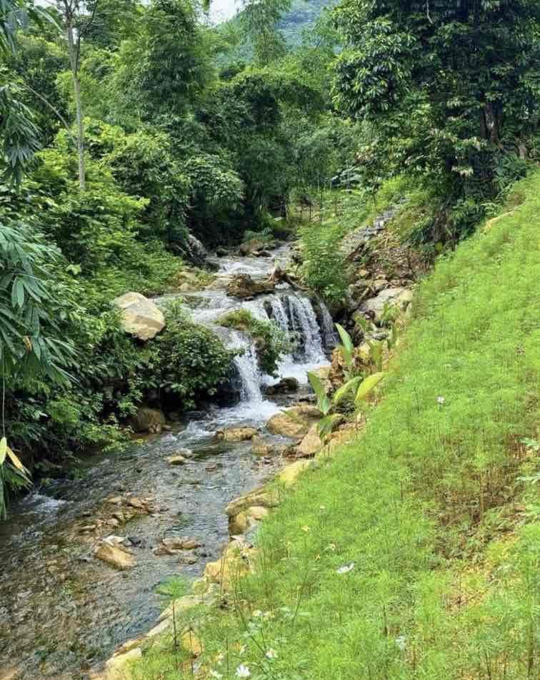 Bán đất sào Long Khánh - Đồng Nai
