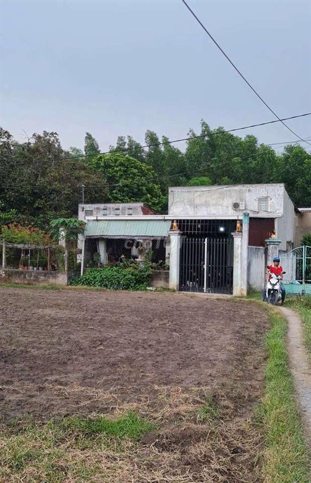 Bán gần 900m2 đất sổ riêng có 283m2 ODT tại phường Tân Triều. 1,55 tỷ