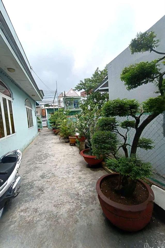 300m2 BÁN RẺ NHÀ TÂN HÒA, SỔ THỔ CƯ 💯 ĐƯỜNG OTO, SÂN OTO, GẦN NHÀ THỜ