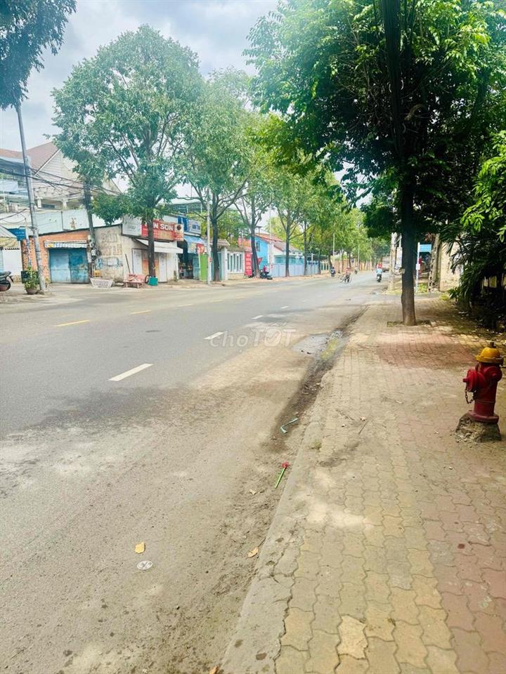 kinh doanh hoac ở