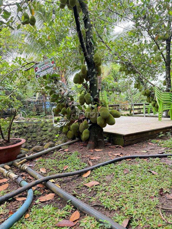 nhà vườn giá rẻ trung tâm long khánh