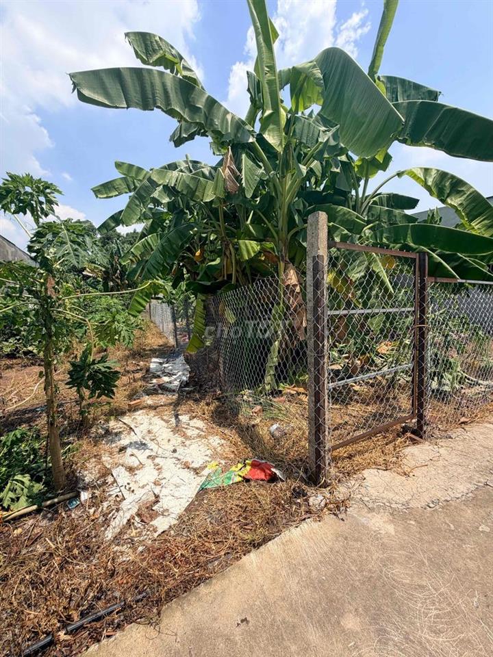 đất đô thị 125m2,đường Nguyễn Văn tiên tân phong biên hoà