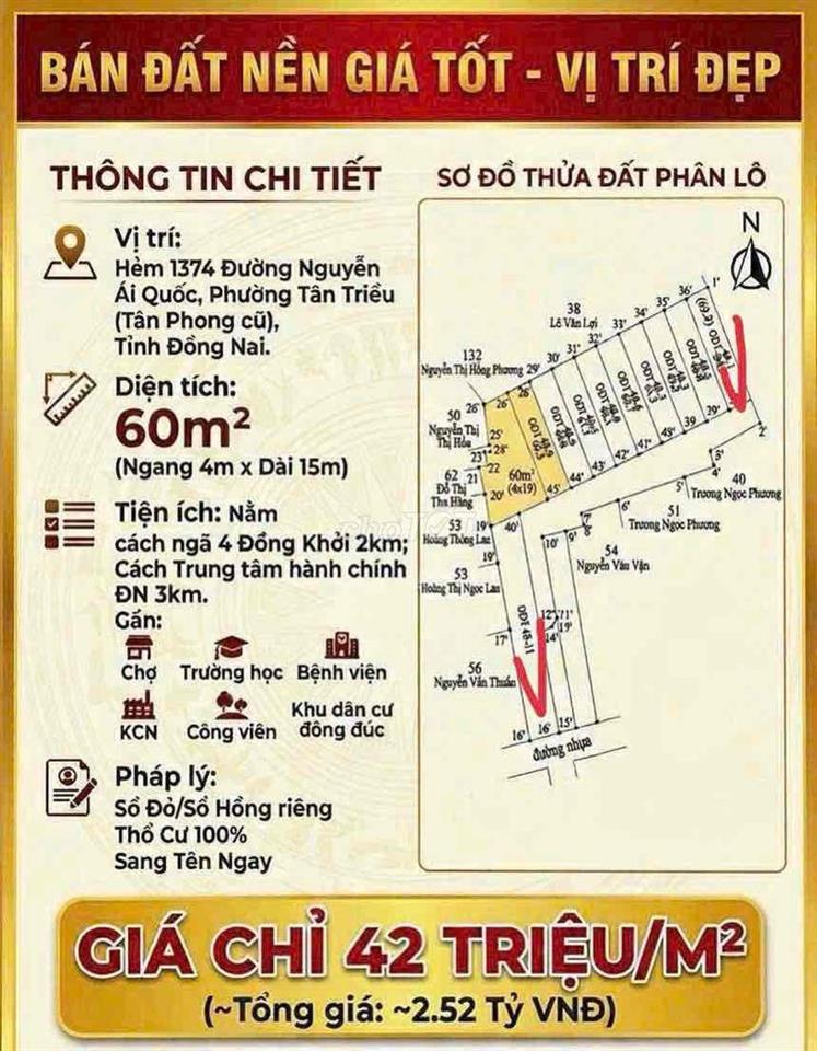 Bán đất kdc Tân Phong đường ô tô