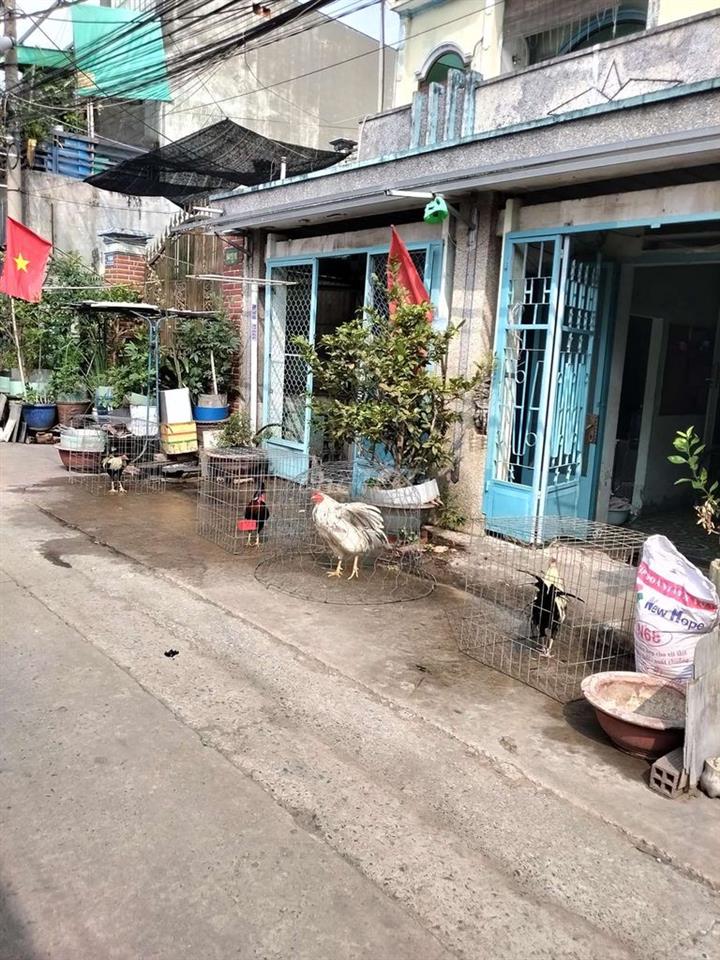 BÁN GẤP NHÀ CẤP 4 GIẤY TỜ ĐẦY ĐỦ