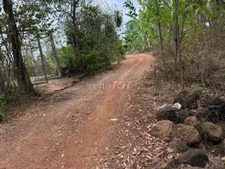 2 thửa liền kề có thể gộp sổ