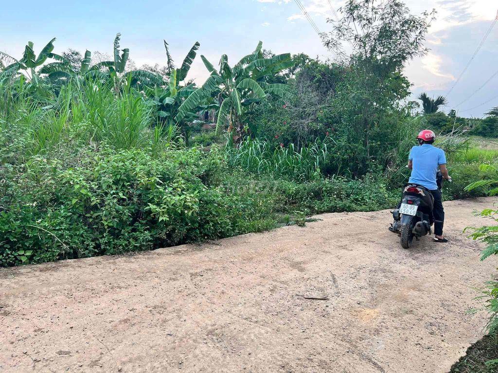 bán đất gấp
