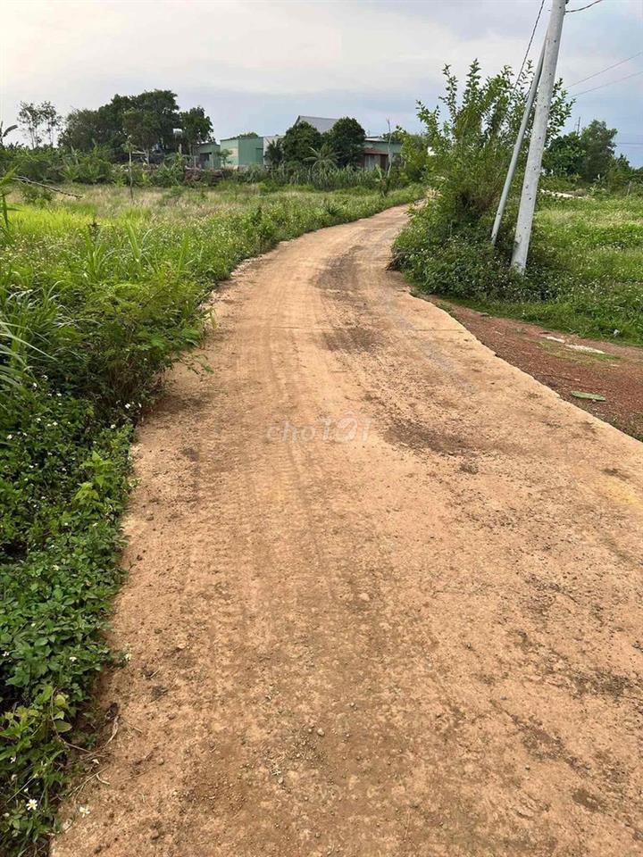 bán đất