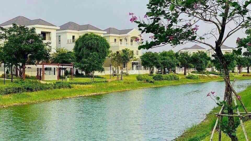 Tổng Hợp Giỏ Hàng Chuyển Nhượng Aqua City 2026 Hỗ Trợ Trực Tiếp Từ CĐT