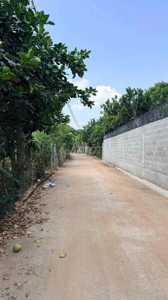 500m2 CÓ THỔ TẠI KHU NHÀ VƯỜN NGHỈ DƯỠNG P BẢO VINH