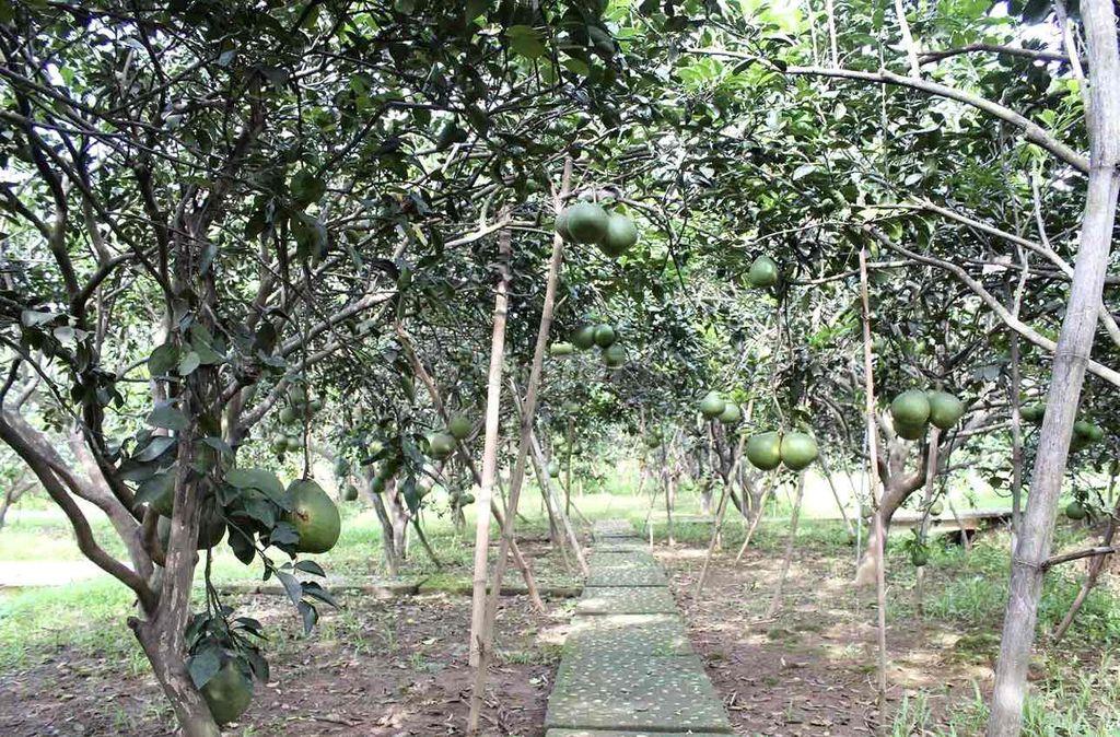 500m2 CÓ THỔ TẠI KHU NHÀ VƯỜN NGHỈ DƯỠNG P BẢO VINH