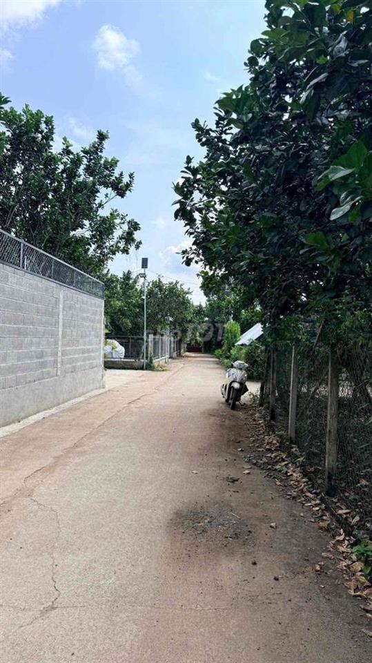 500m2 CÓ THỔ TẠI KHU NHÀ VƯỜN NGHỈ DƯỠNG P BẢO VINH