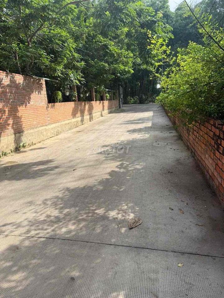Bán nhà 125,2m² đường ô tô 6m P. Tân Phong cũ giá 1 tỷ