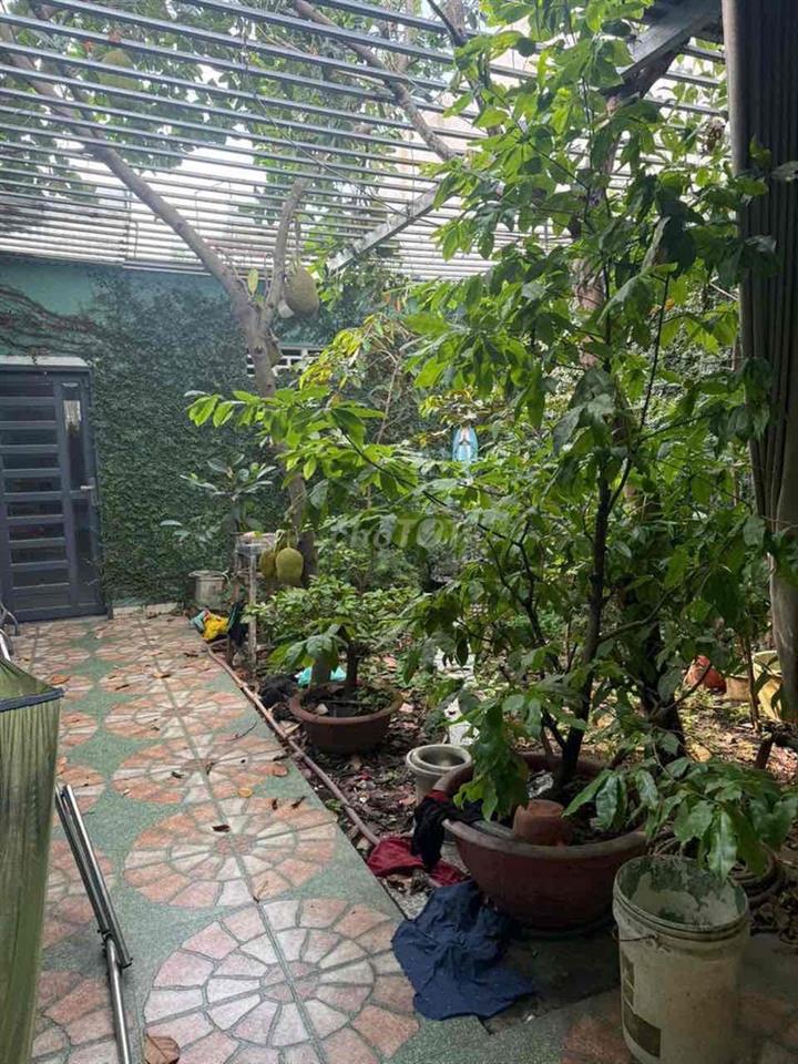 Bán nhà 125,2m² đường ô tô 6m P. Tân Phong cũ giá 1 tỷ