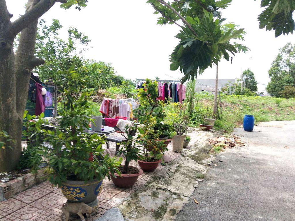 nhà khu dân cư lavender