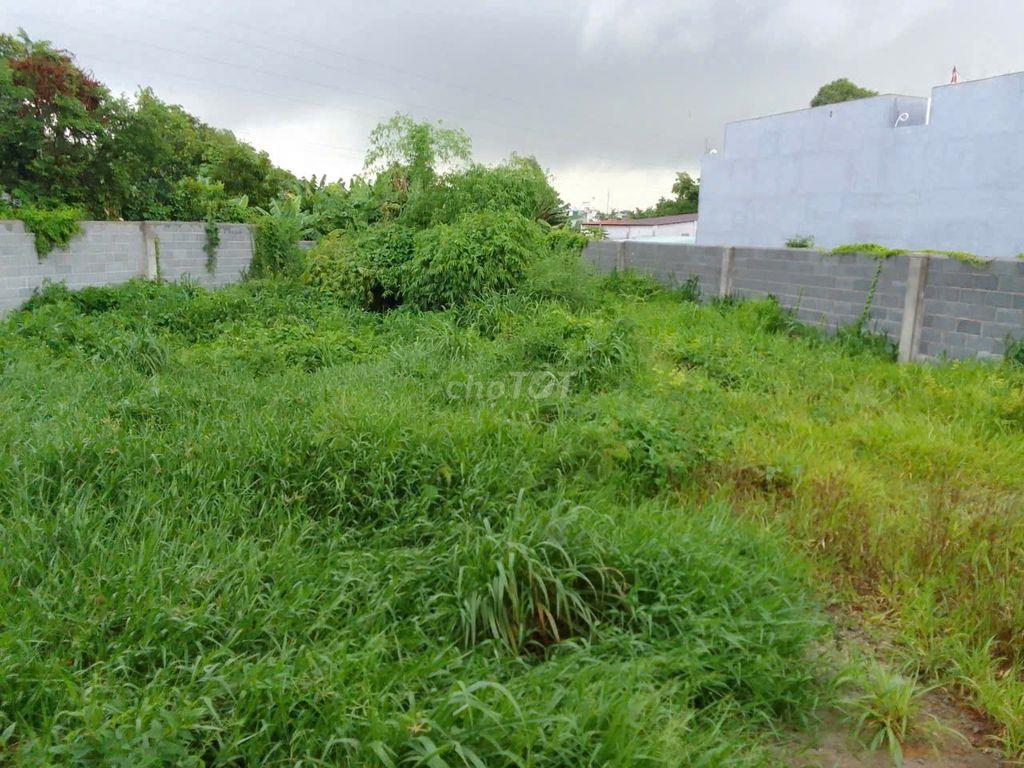 Bán đất 529m2 ở Biên Hòa, giá 3.2 tỷ, sổ  hồng riêng