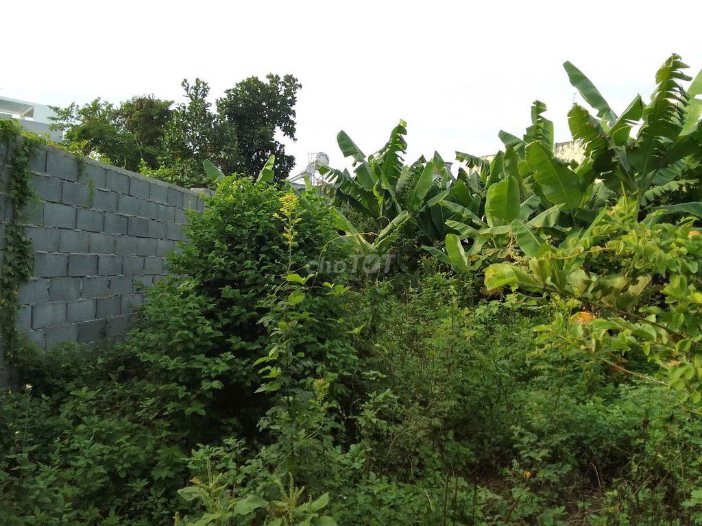 cho thuê đất 150-300m2