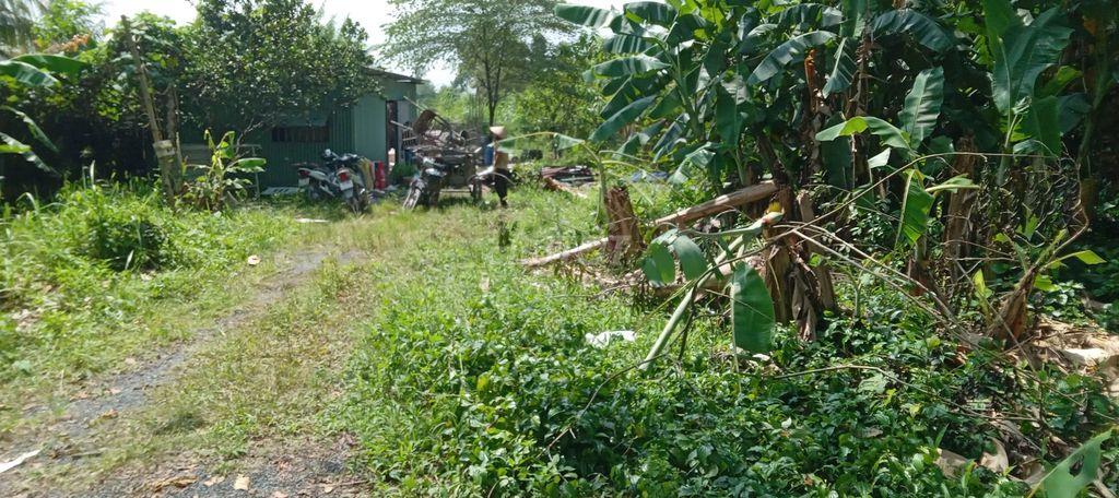 Bán đất 3159m2 ở Thiện tân, Vĩnh cửu, giá 5 tỷ