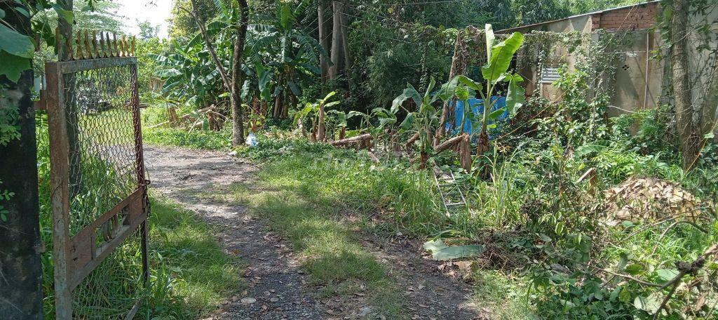 Bán đất 3159m2 ở Thiện tân, Vĩnh cửu, giá 5 tỷ