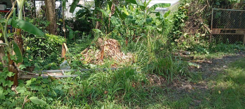 Bán đất 3159m2 ở Thiện tân, Vĩnh cửu, giá 5 tỷ