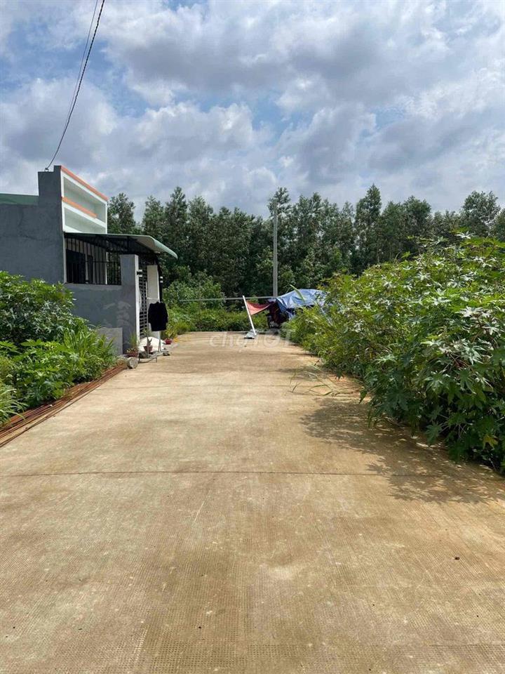 CẦN RA GẤP LÔ ĐẤT 1ty1 GẦN CHỢ THẠNH PHÚ 80m2
