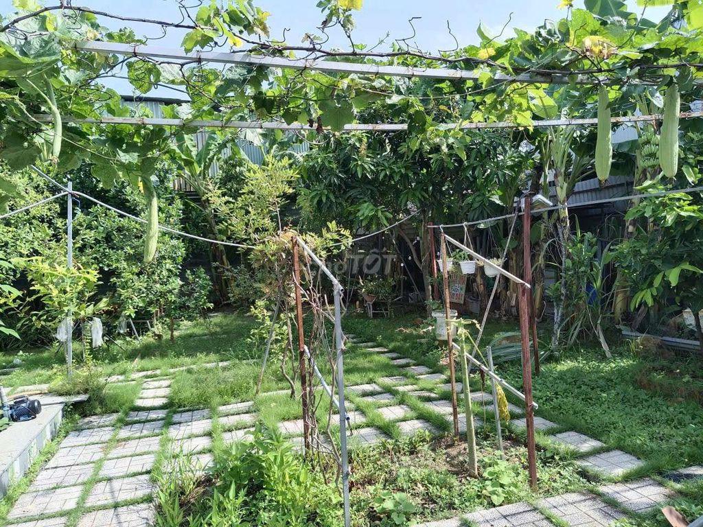 nhà vườn nghĩ dưỡng 700m² phường Bửu Long