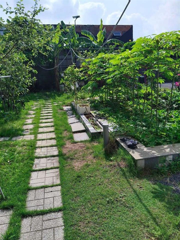 nhà vườn nghĩ dưỡng 700m² phường Bửu Long