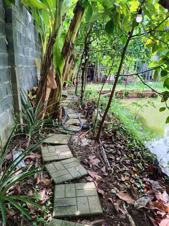 nhà vườn nghĩ dưỡng 700m² phường Bửu Long
