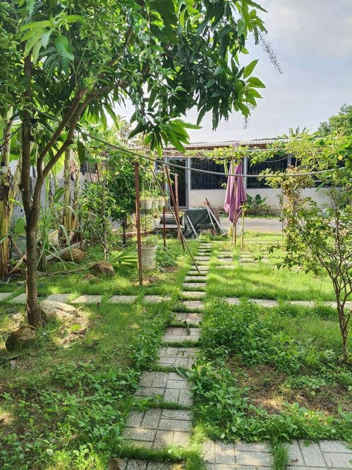 nhà vườn nghĩ dưỡng 700m² phường Bửu Long