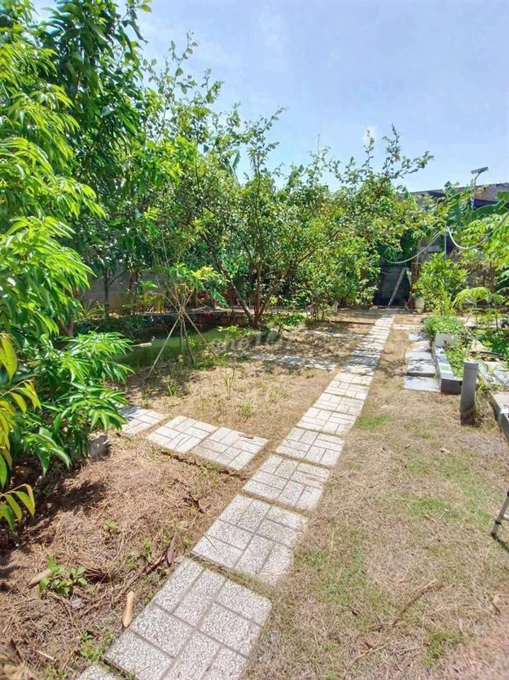 Nhà Vườn Phường Bửu Long